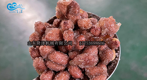 蜂蜜花生油炸机